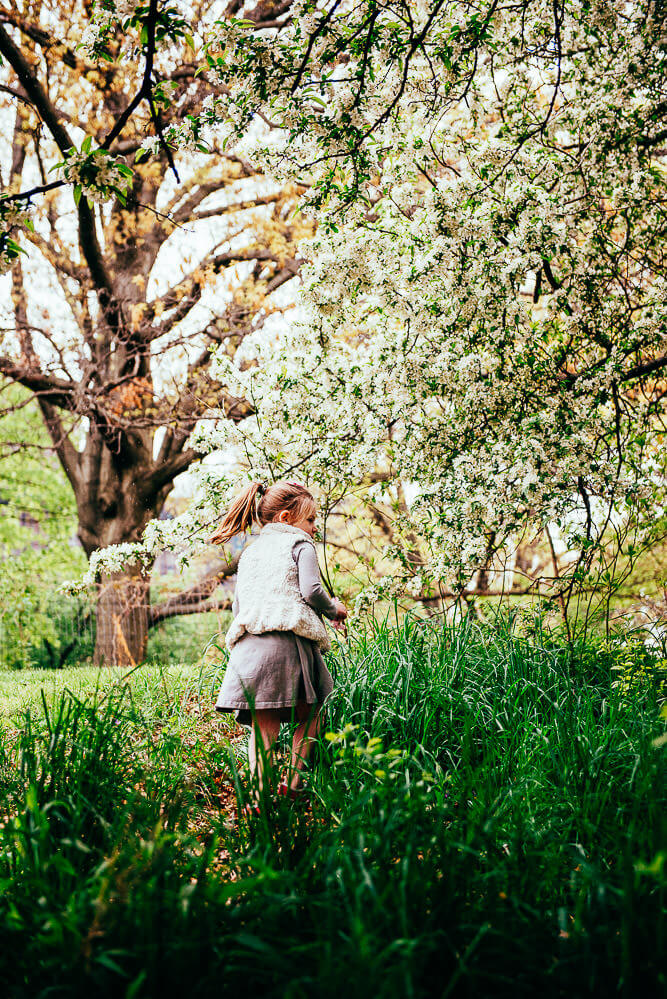 family-photography-central-park-nyc-cherry-blossom-15