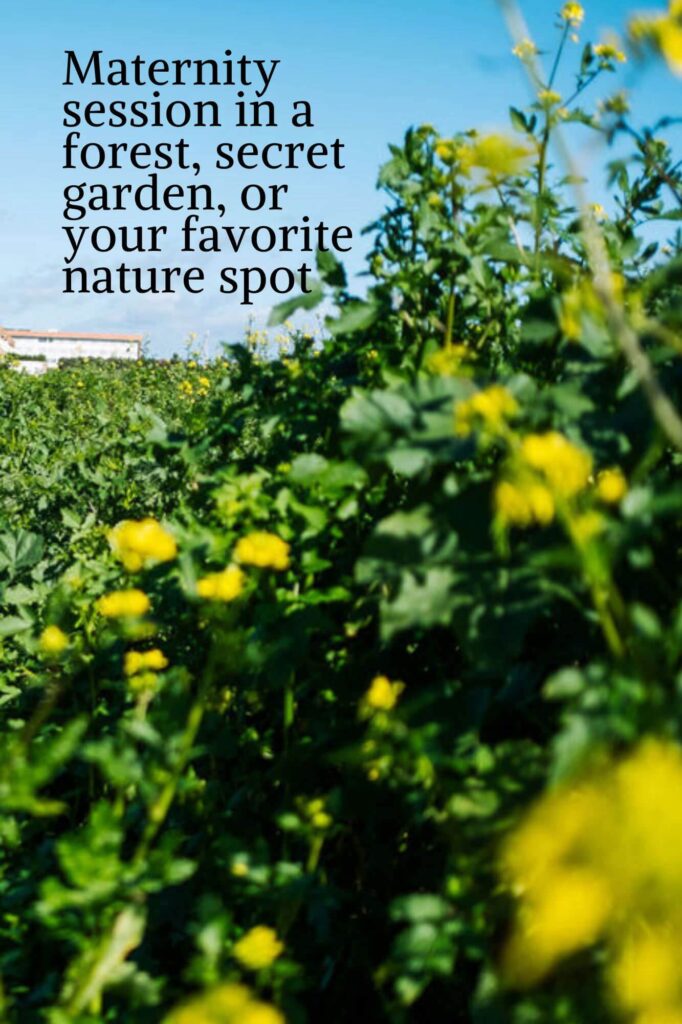 Close-up of lush green foliage with yellow flowers in a sunlit garden. The clear blue sky is visible in the background. Text overlays the image: Maternity photograph session ideas for families in a forest, secret garden, or your favorite nature spot.