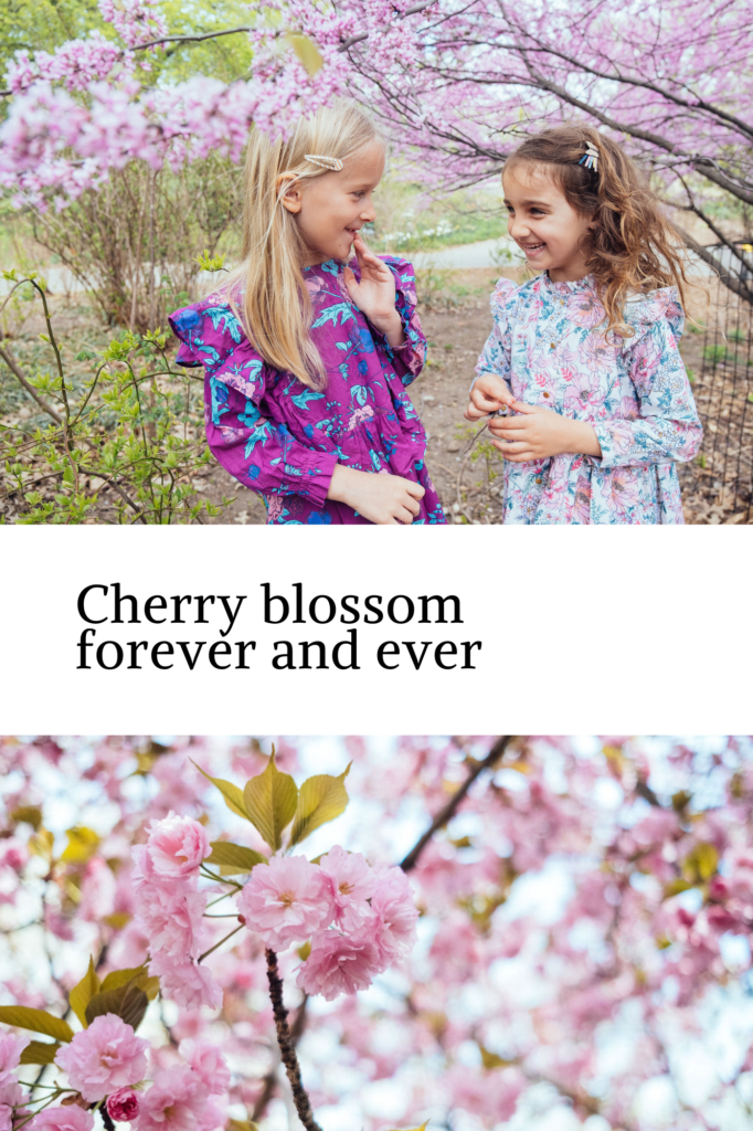 Two young girls in floral dresses stand amidst cherry blossom trees, smiling at each other. The vibrant pink blossoms frame them beautifully. The text reads Unique Family Sessions 2025: Cherry blossom forever and ever.