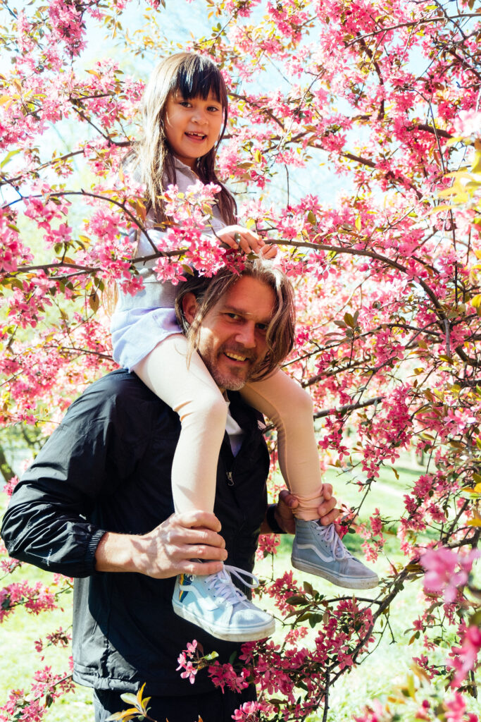 A man holding a young girl on his shoulders stands amid blooming cherry blossoms in NY, the best location to witness natures beauty. The girl smiles in her light outfit and blue shoes, while the man looks content in a black jacket as sunlight highlights the vibrant flowers around them.