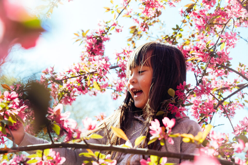 Amidst the vibrant NY cherry blossoms, a young girl joyfully plays, her long hair flowing as she smiles and laughs. Sunlight filters through the blossoms, creating a bright and cheerful atmosphere in one of the citys best locations for natures beauty.